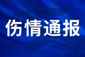 苏比亚科vs金斯利西部_苏比亚科vs金斯利西部全场次直播_苏比亚科vs金斯利西部所有比赛免费看